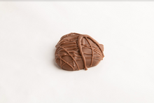 Load image into Gallery viewer, Sea Turtle