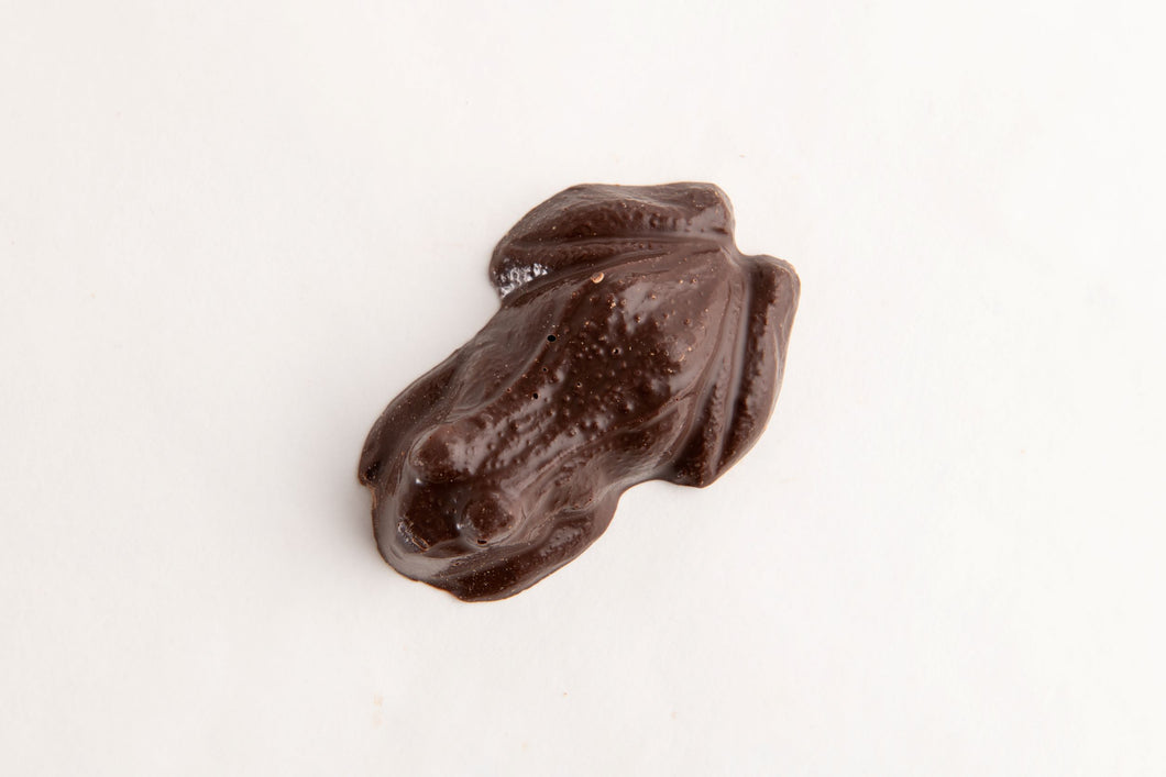 Chocolate Frog